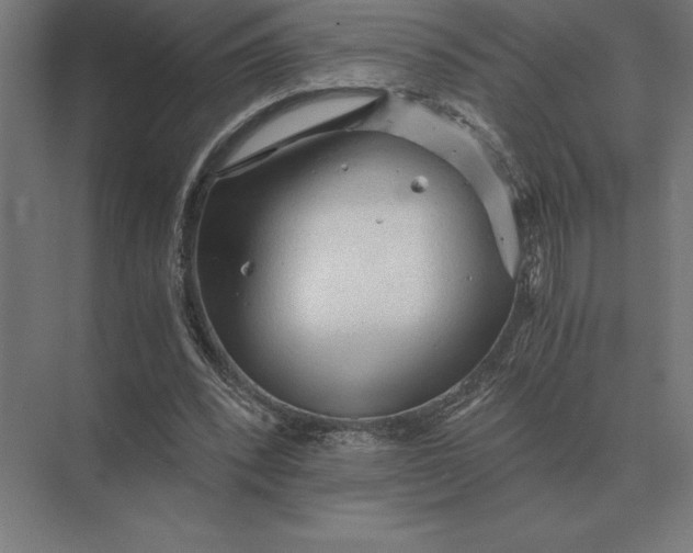 X0000073980392200609111813