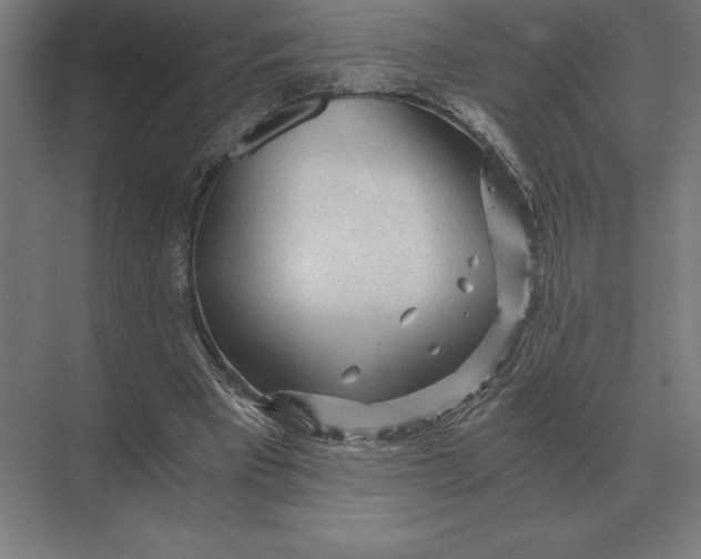 X0000073980393200609111813