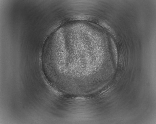 X0000073980394200609111813