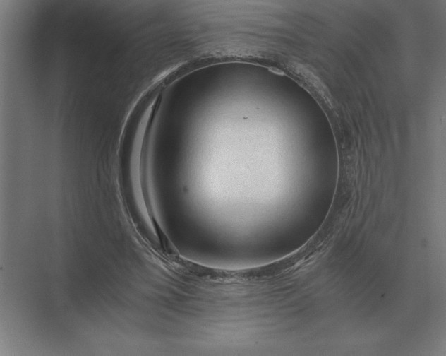 X0000073980395200609111813