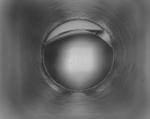 X0000073980397200609111813