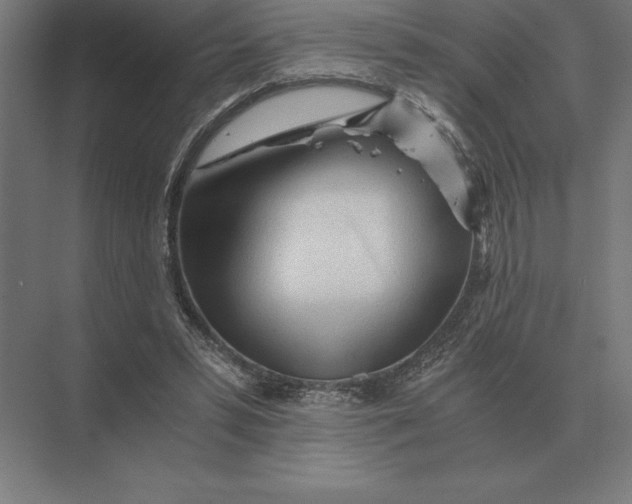 X0000073980399200609111813