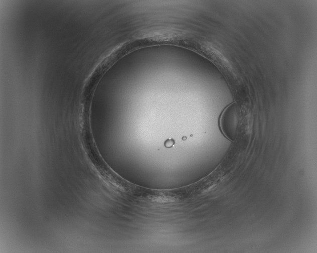 X0000073980400200609111813