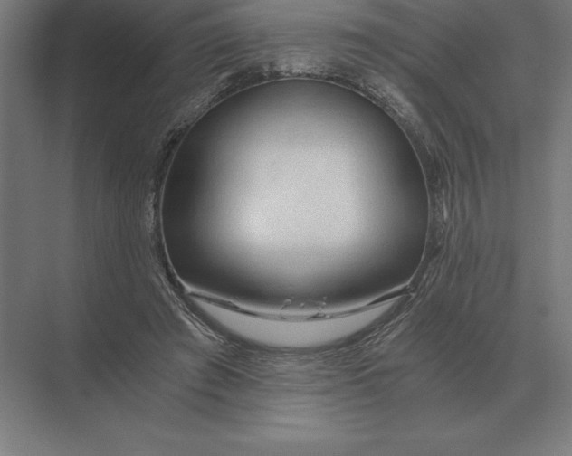 X0000073980401200609111813