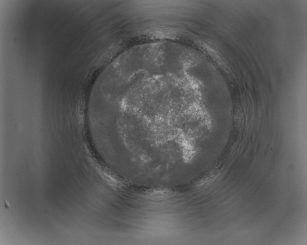 X0000073980402200609111813