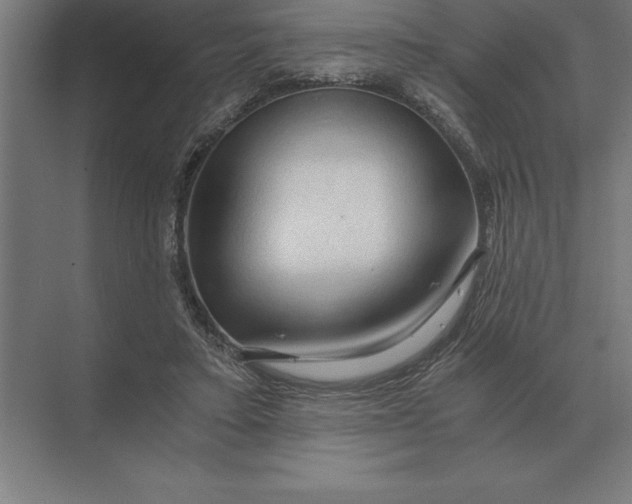 X0000073980403200609111813