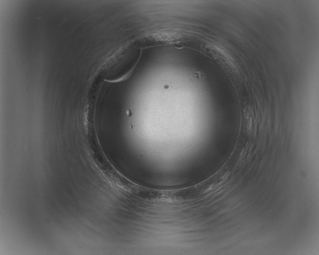 X0000073980404200609111813