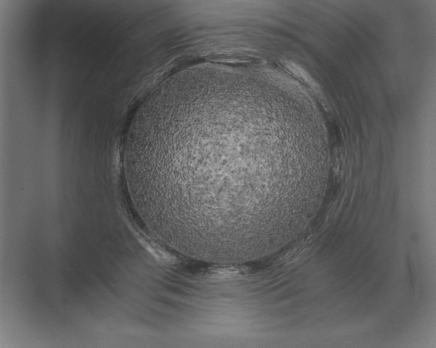 X0000073980405200609111813