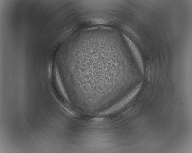 X0000073980406200609111813