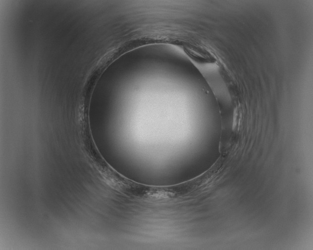 X0000073980407200609111813