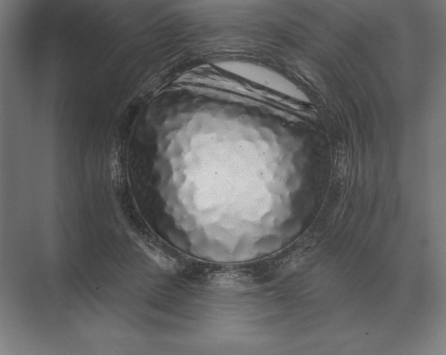 X0000073980408200609111813