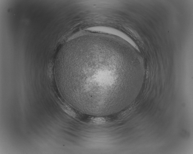 X0000073980409200609111813