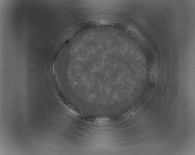 X0000073980410200609111813