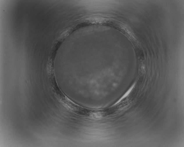 X0000073980411200609111813