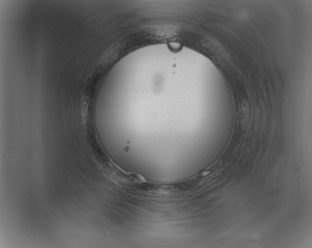 X0000073980412200609111813