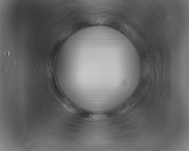 X0000073980414200609111813