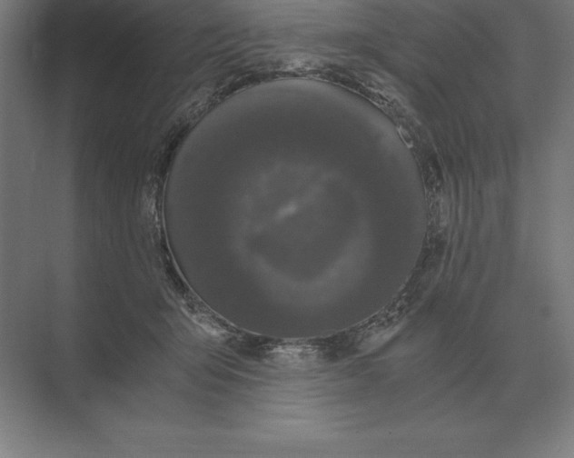 X0000073980415200609111813