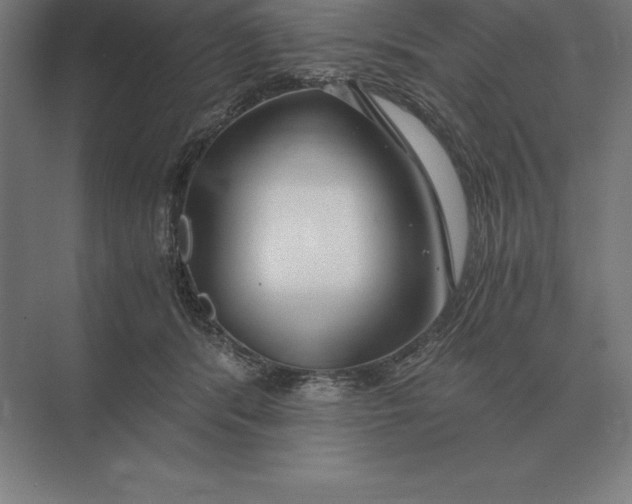 X0000073980416200609111813