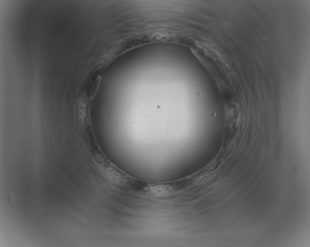 X0000073980417200609111813