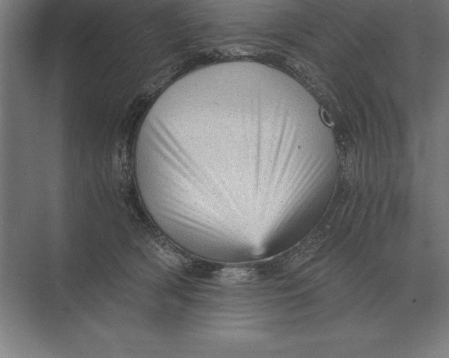 X0000073980418200609111813