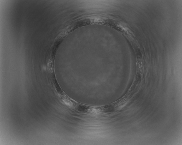 X0000073980419200609111813