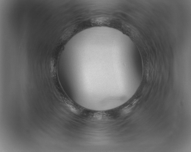 X0000073980420200609111813