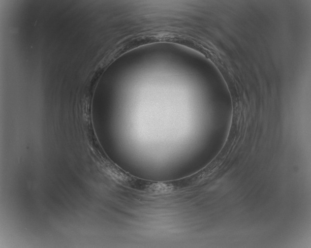 X0000073980421200609111813