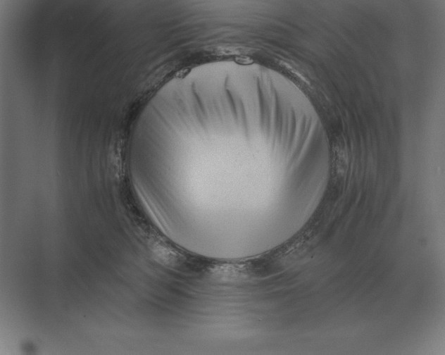 X0000073980422200609111813