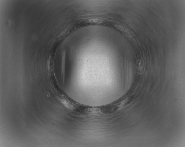 X0000073980424200609111813