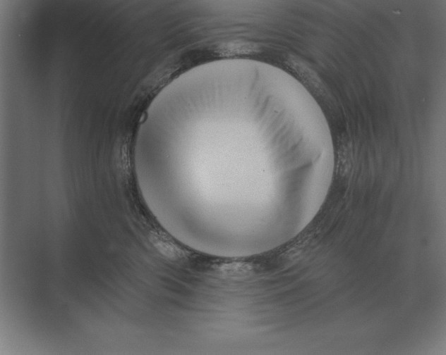 X0000073980426200609111813