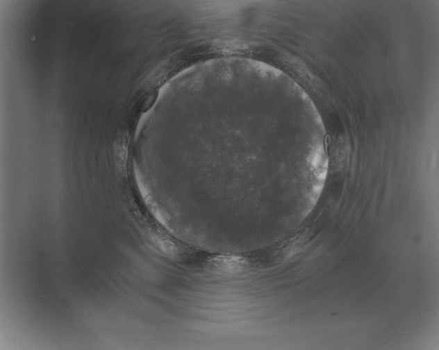 X0000073980427200609111813