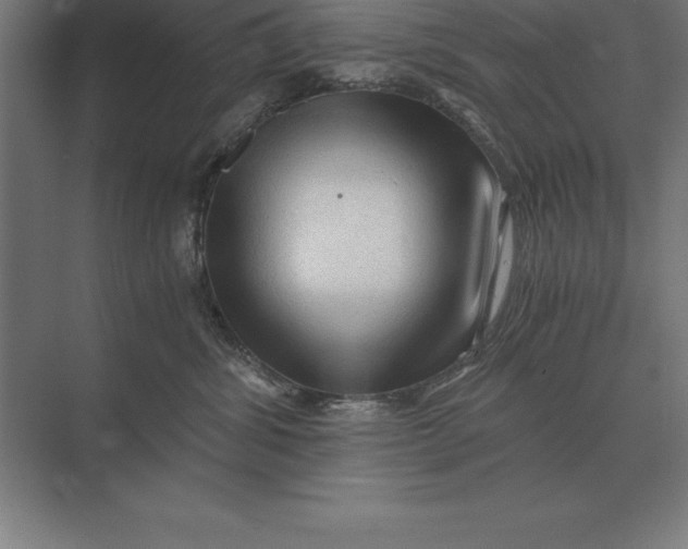 X0000073980428200609111813