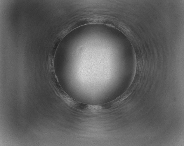 X0000073980429200609111813