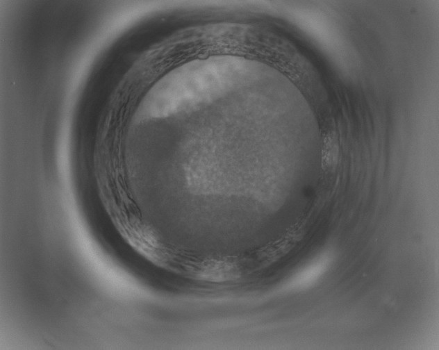 X0000073980431200609111812