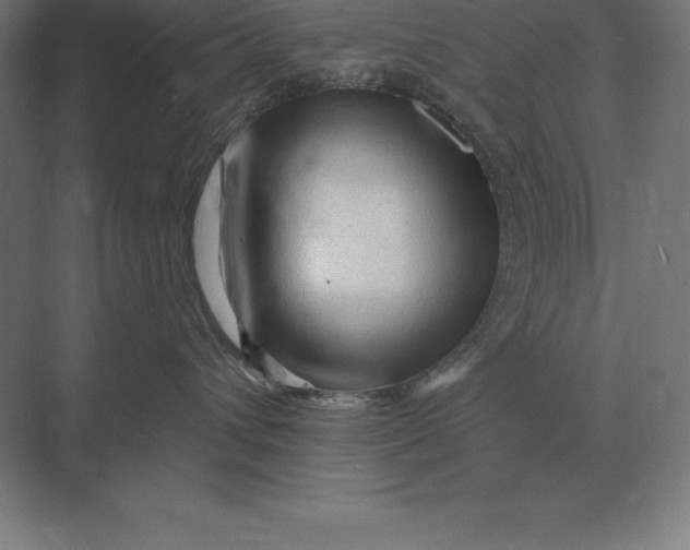 X0000073980432200609111812