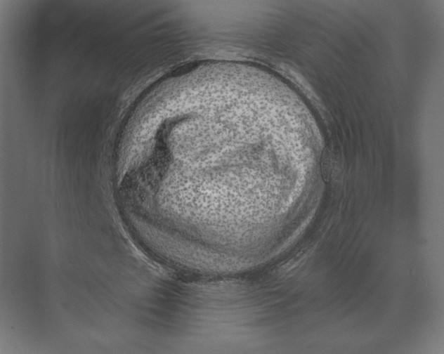 X0000073980433200609111812