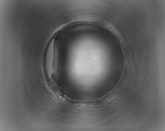 X0000073980434200609111812