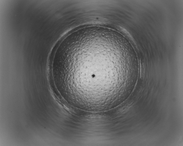 X0000073980435200609111812