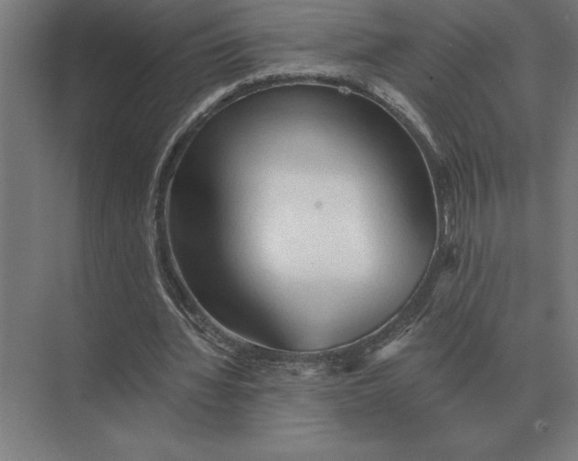 X0000073980436200609111812