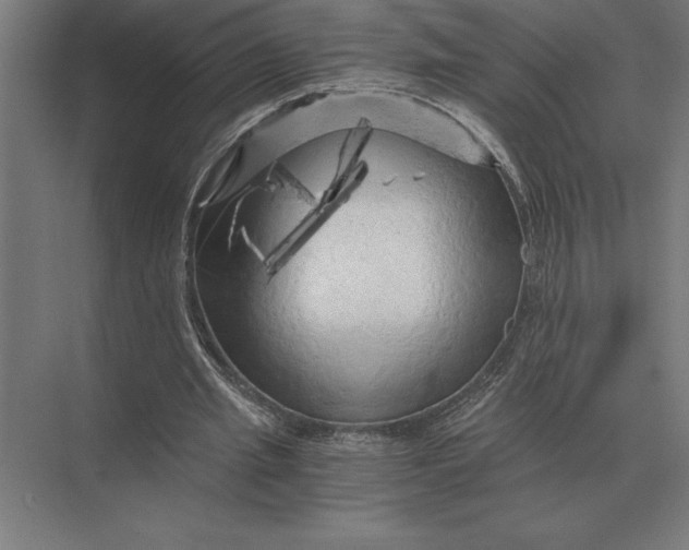 X0000073980437200609111812