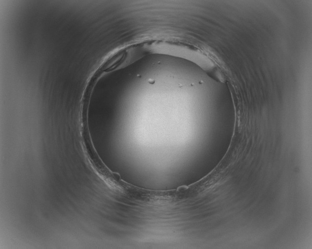 X0000073980438200609111812