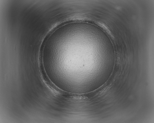 X0000073980439200609111812