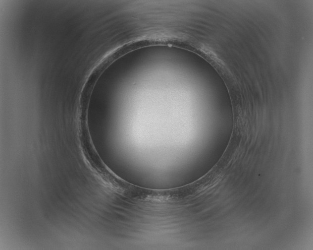 X0000073980440200609111812