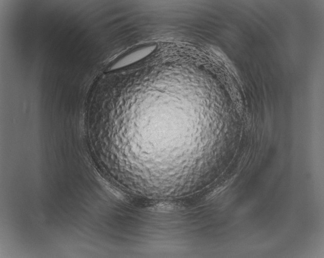 X0000073980441200609111812