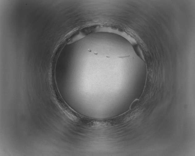 X0000073980442200609111812