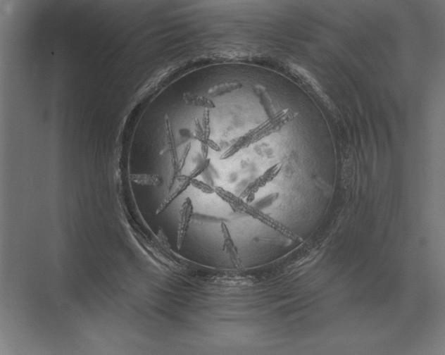 X0000073980443200609111812