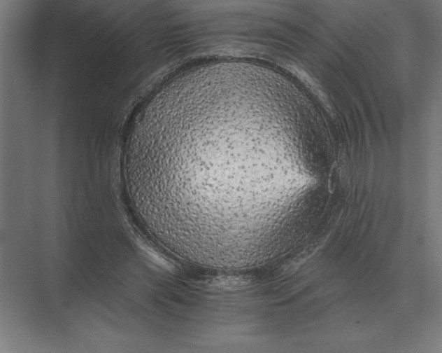 X0000073980445200609111812