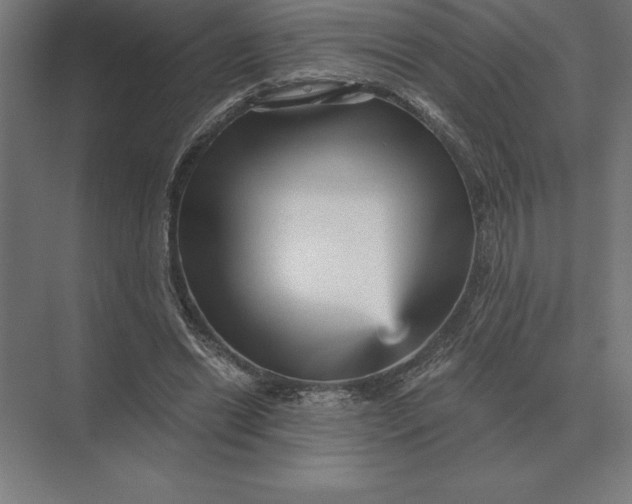 X0000073980446200609111812