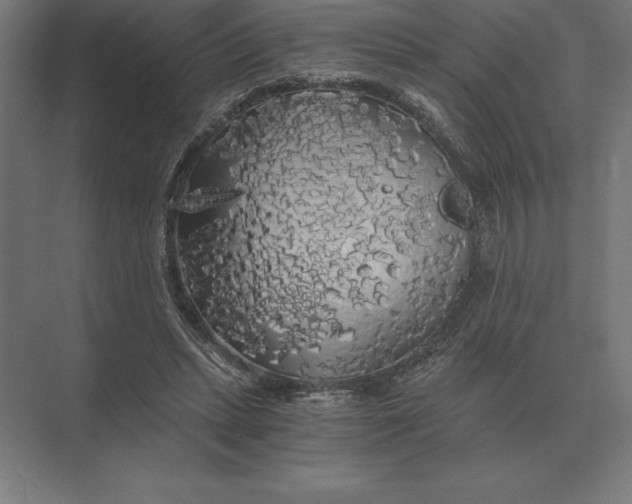 X0000073980447200609111812