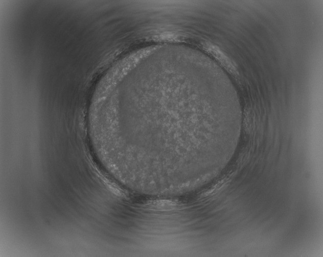 X0000073980449200609111812